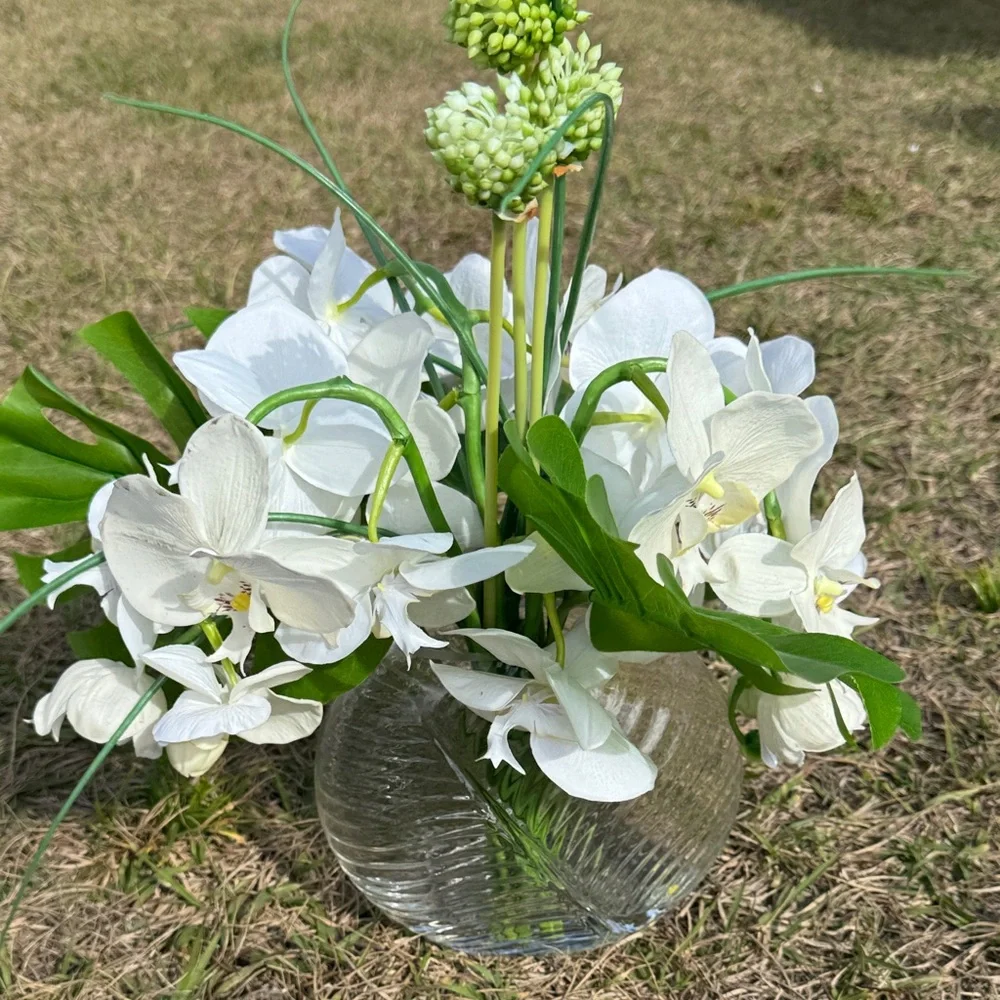 White and Green Orchid Display